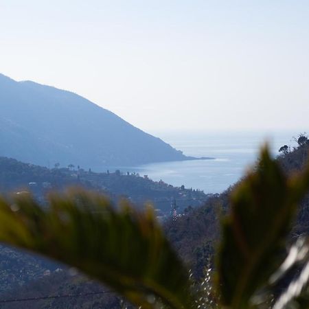 Villa Le Macine Molino Nuovo  외부 사진
