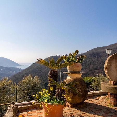 Villa Le Macine Molino Nuovo  외부 사진