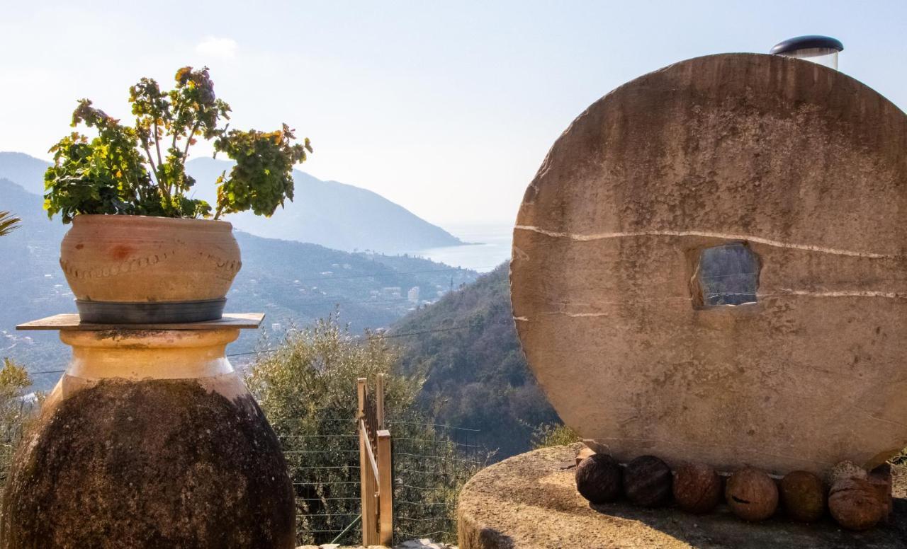 Villa Le Macine Molino Nuovo  외부 사진